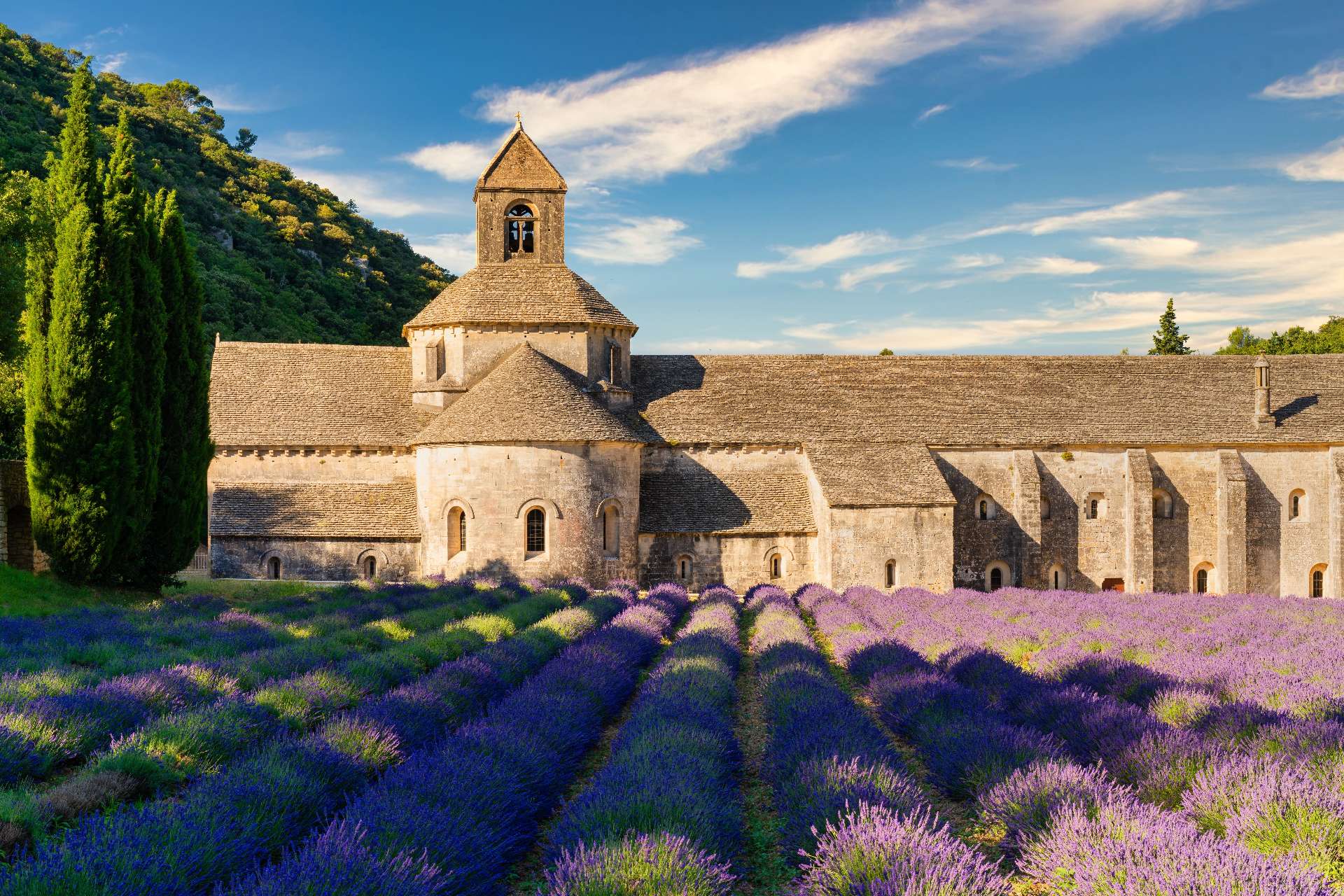 Abbaye Notre-Dame de S&eacute;nanque, architecture cistercienne